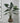 PTMD Alocasia kunstplant in pot, groen, maat L