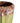 PTMD Olver Bloempot Groen – Keramiek – H90 x Ø48 cm – Geribbeld Design voor Binnen & Buiten