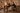 PTMD Ares barstoel, bruin, set van 2