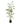 PTMD bamboe kunstboom in pot, groen, 150 cm