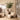 PTMD Oslo Luxe fauteuil, teddy beige