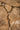 PTMD Taly naturel versteende koffietafel fiberglas L, productfoto