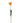 PTMD kunsttulp, oranje papegaaitulp met bladeren