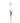 PTMD kunsttulp, roze papegaaitulp met bladeren