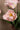 PTMD kunsttulp, roze papegaaitulp met bladeren