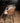 PTMD Bosca barstoel, Legacy 15 beige
