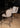 PTMD Pebble barstoel, Legacy 15 beige, set van 2