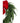 PTMD Landi serie, aanvullende collectie- en productfoto 2