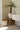 Bazar Bizar Pandan mand #2 met schelpen, naturel wit – foto 2