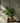 Bazar Bizar Fake Braided plantenpot van beton, naturel, maat L – foto 2