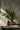 Bazar Bizar Fake Braided plantenpot van beton, naturel, maat L – foto 2