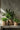 Bazar Bizar Fake Braided plantenpot van beton, naturel, maat L – foto 3