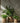 Bazar Bizar Fake Braided plantenpot van beton, naturel, maat M – foto 2