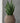Bazar Bizar Faux-Puff plantenpot van beton, bruin, L – foto 2