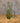 Vintage glazen 3 Ltr fles van Wenneker
