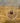 Octopus drinkglas