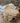 Deken/plaid katoen beige