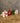 Houten kersthanger NOEL