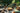 Bazar Bizar Oh My Gee kussenhoes van katoen, bruin, 35 x 100 cm – foto 4