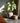 Bazar Bizar – De Chuka Mand – Naturel
