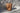 Bazar Bizar Candle Trunk kaars in houten stam, naturel – foto 2