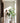 Monstera Kunstboom 180 cm – Tropisch statement van Silk House