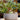 Pepin Olla zelfwaterende plantenpot, groen