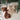 Chic Antique strikhangers beige en mocca set van 2 in een sfeervolle kerststyling