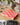 Printworks Art of Backgammon rood crème afbeelding 2